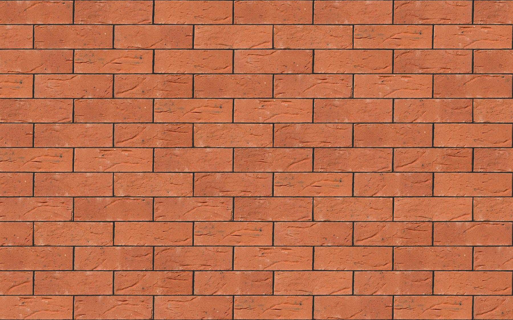 Clumber Red
