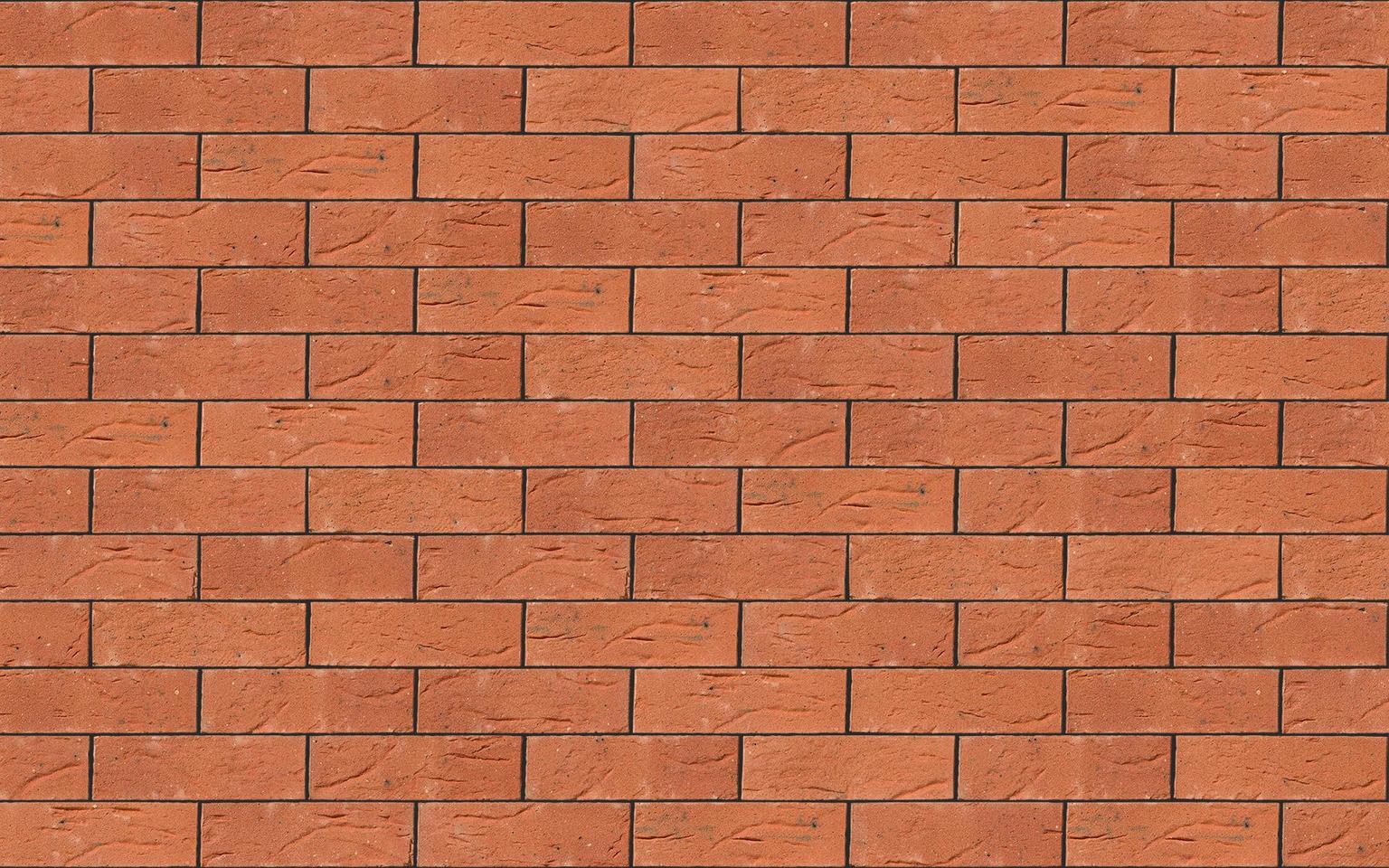 Clumber Red