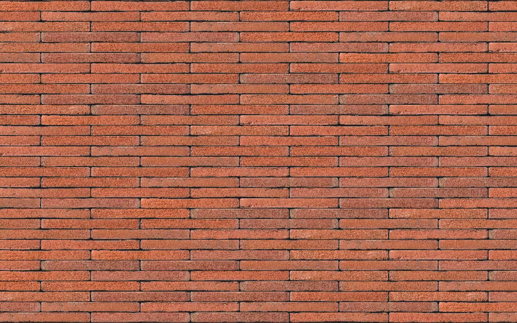 Roman Orange