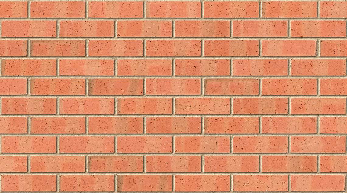 Autumn Dragface with Buff mortar