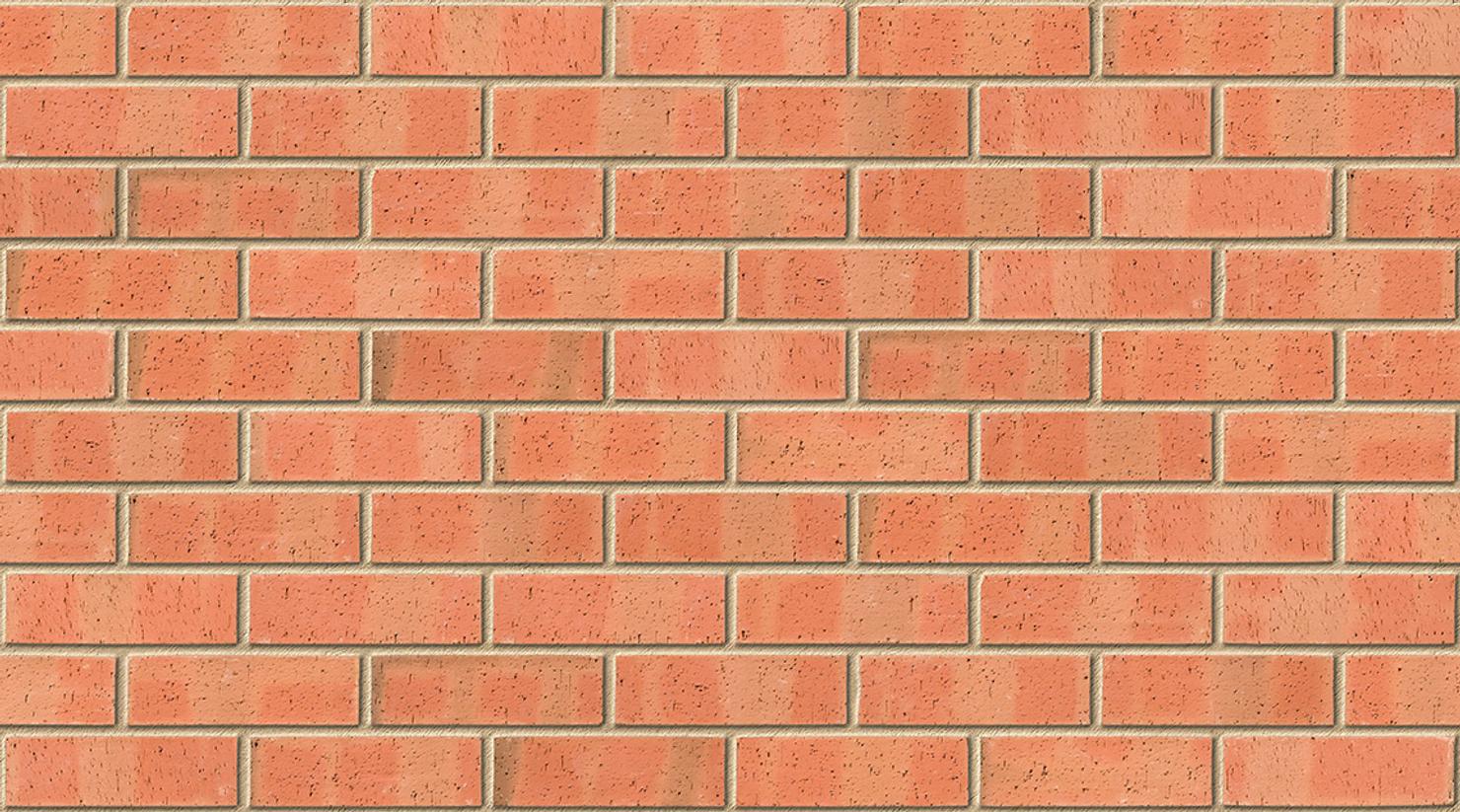 Autumn Dragface with Buff mortar