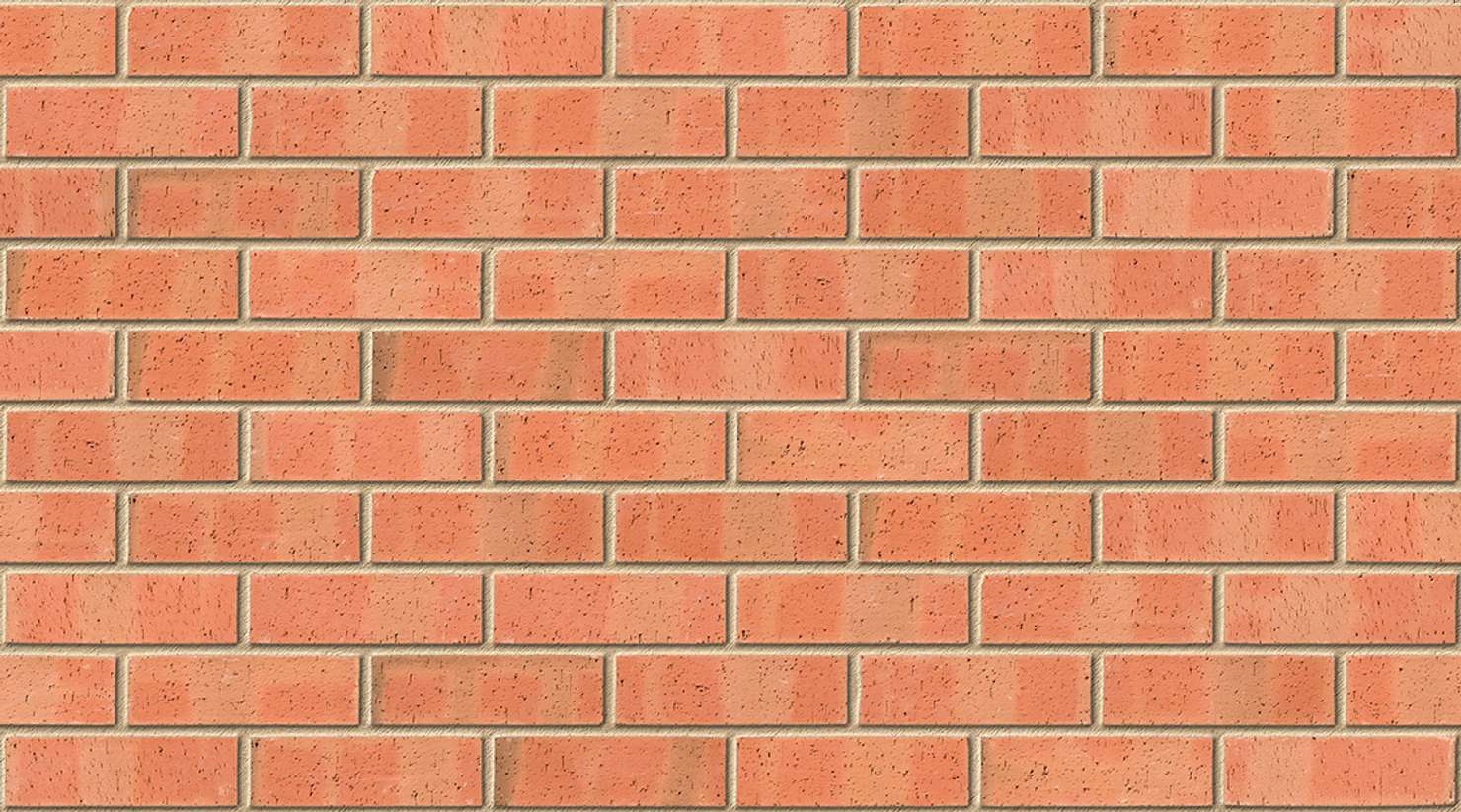 Autumn Dragface with Buff mortar