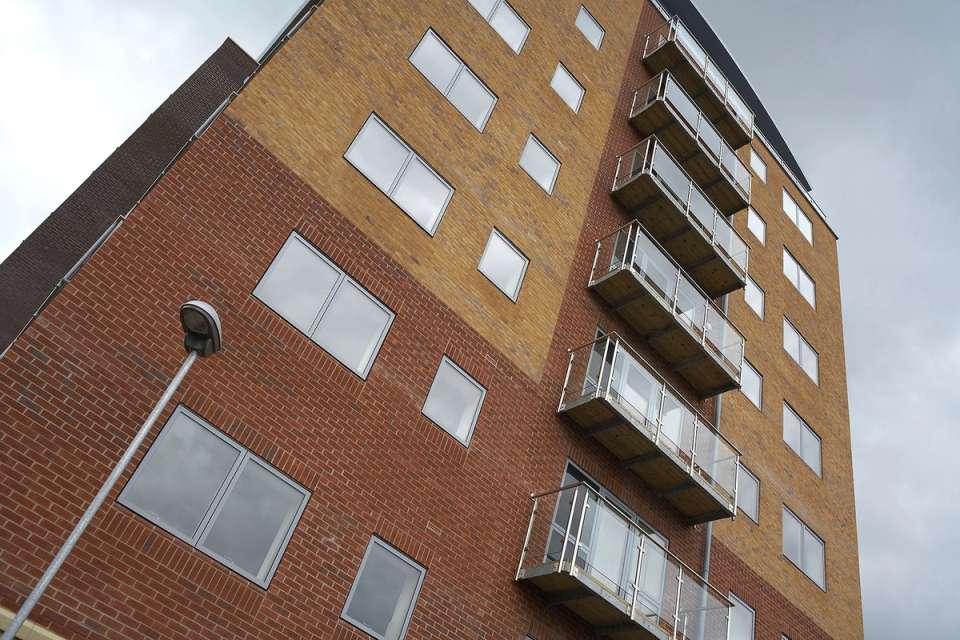 Harborough Buff Multi application 1