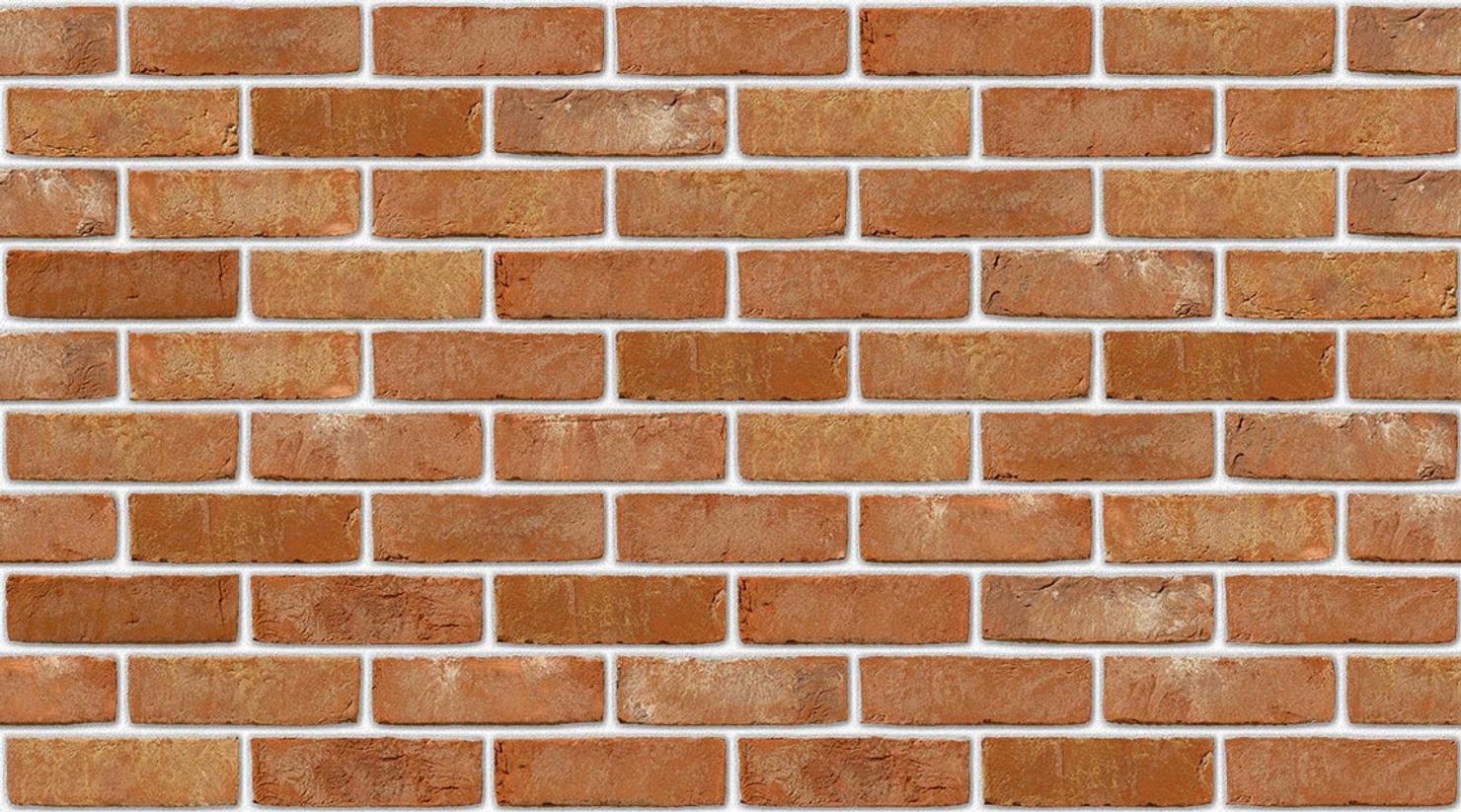 Reno Red Multi with White mortar