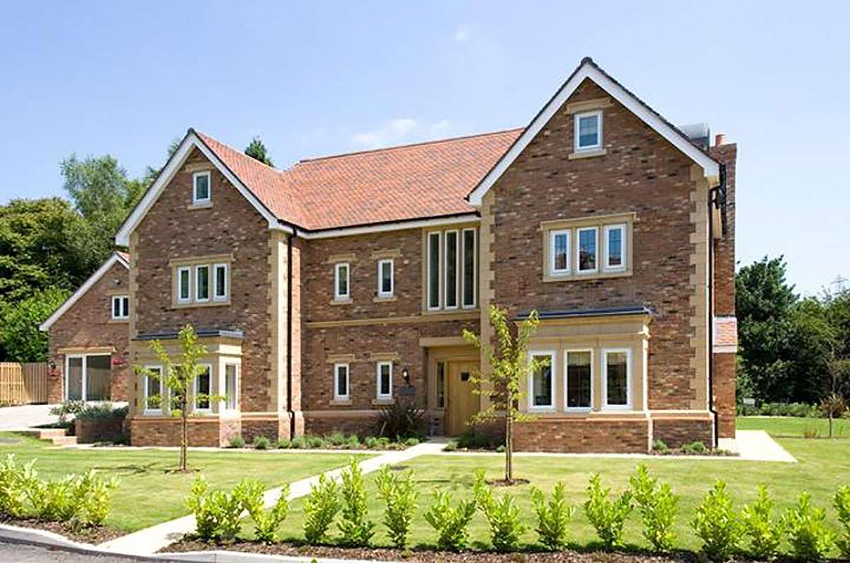 Hathaway Brindled application 1