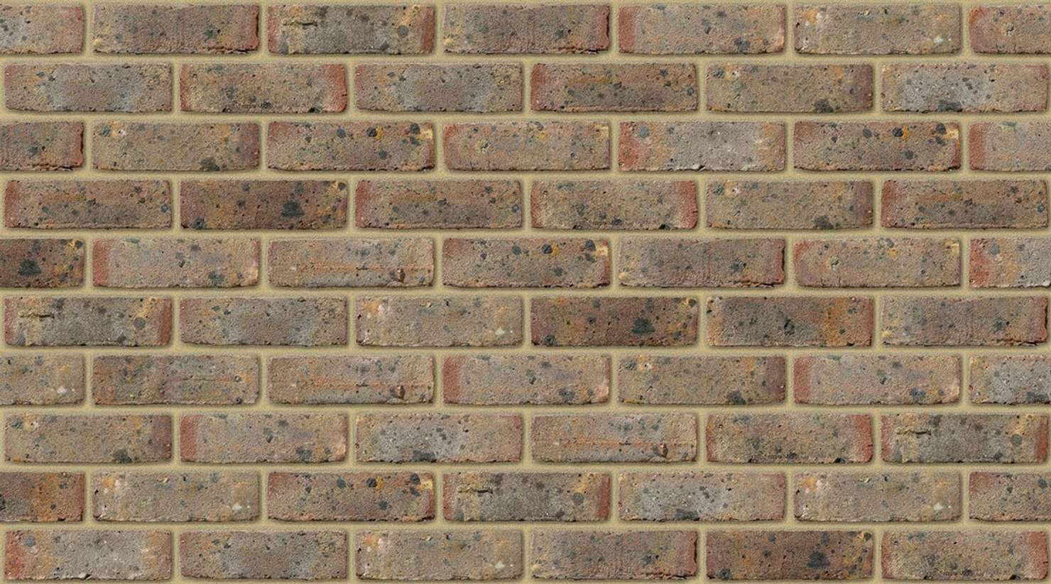 FLB Selected Dark with Buff mortar