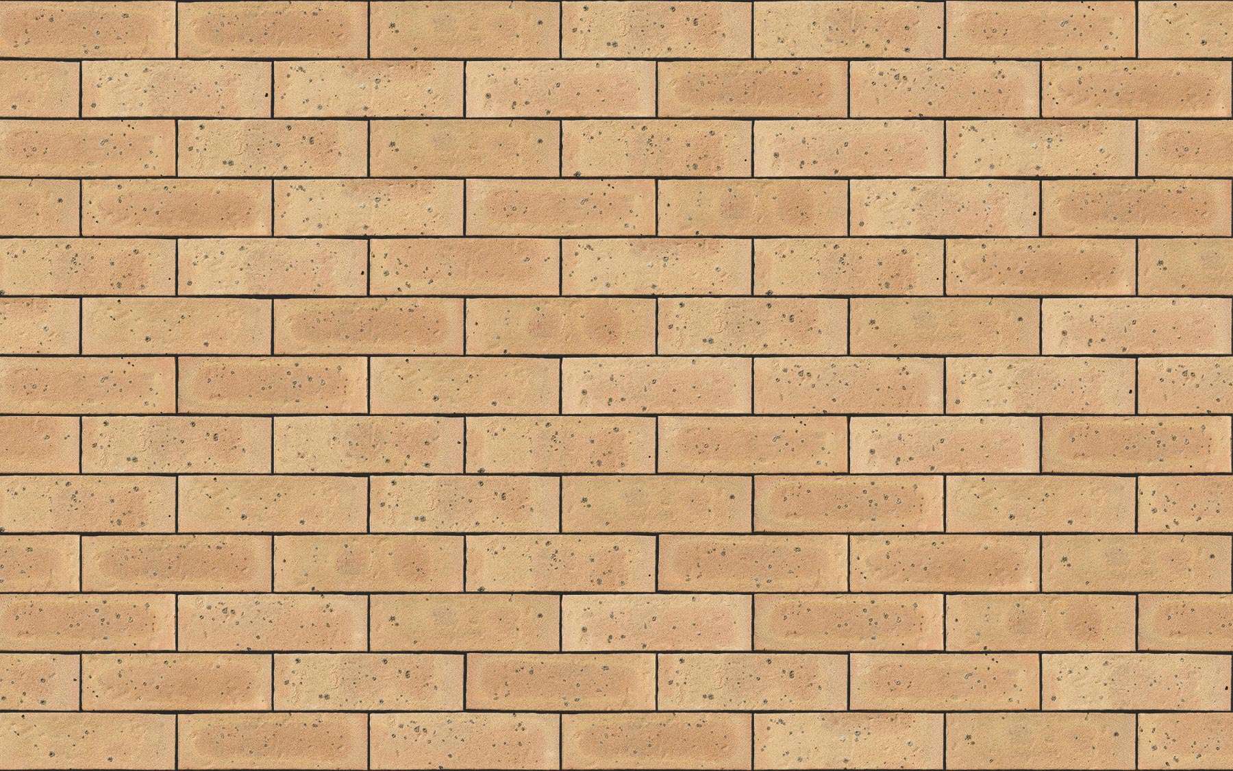 Sandalwood Yellow