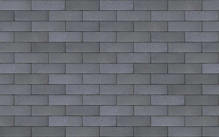 Staffordshire Smooth Blue