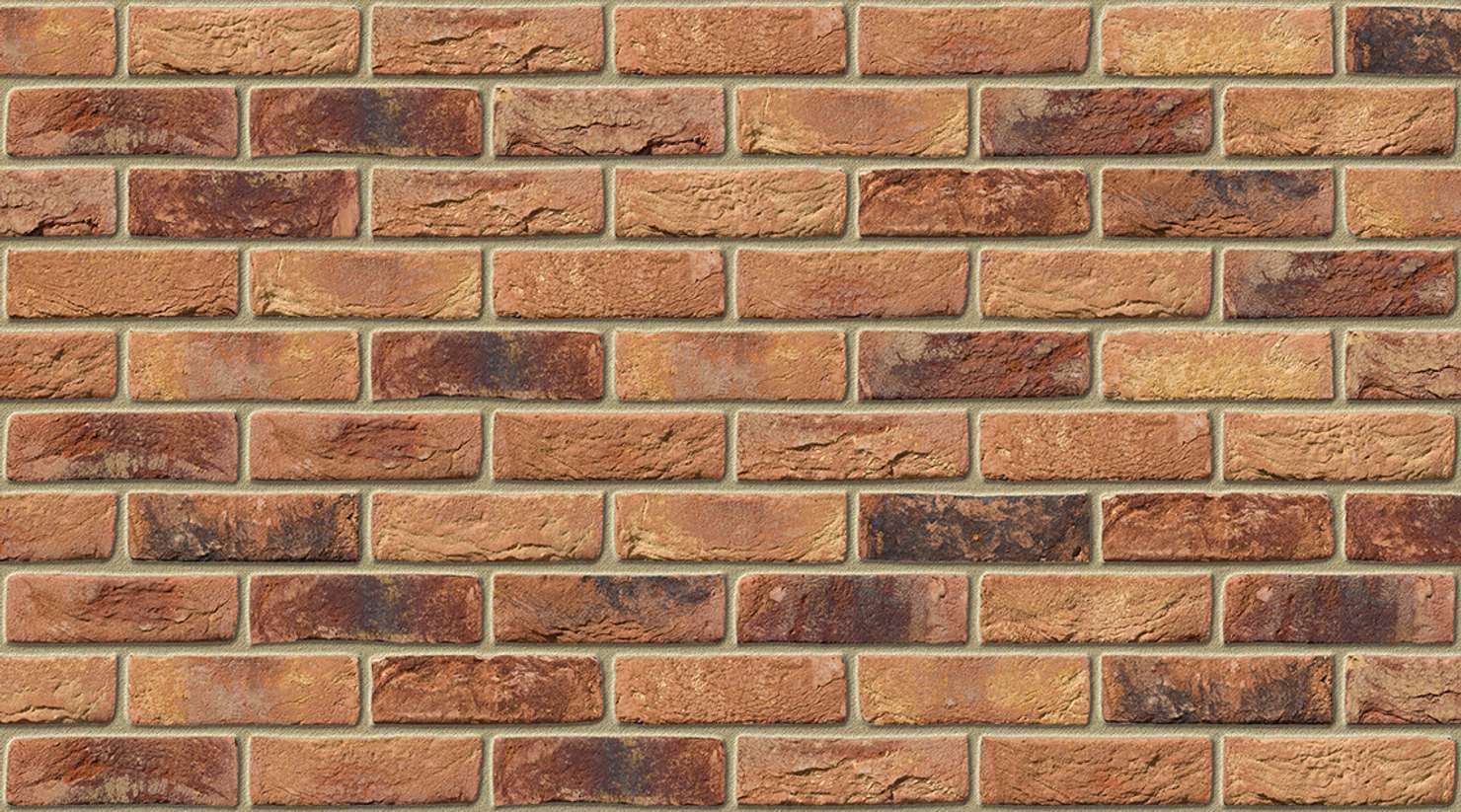 Primula with Buff mortar