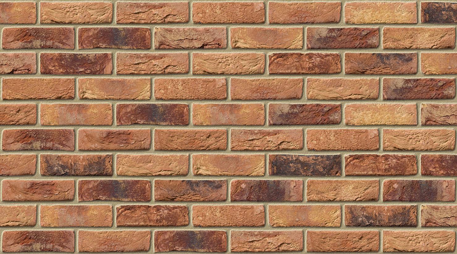 Primula with Buff mortar