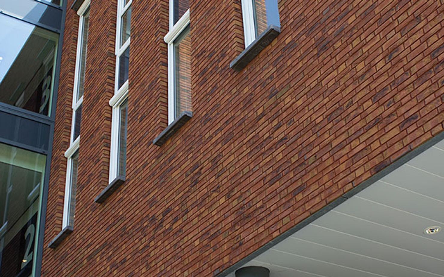 Viola Light application 1