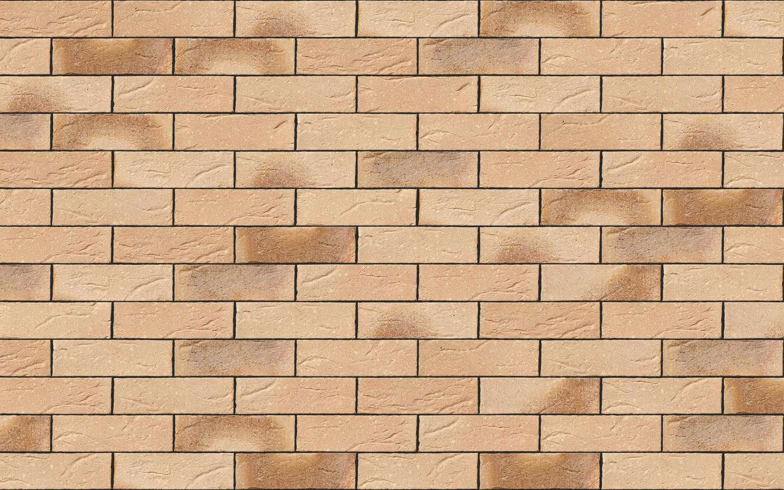 Village Harvest Multi