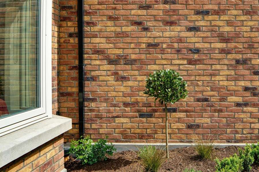 fey yerra primula brick wall