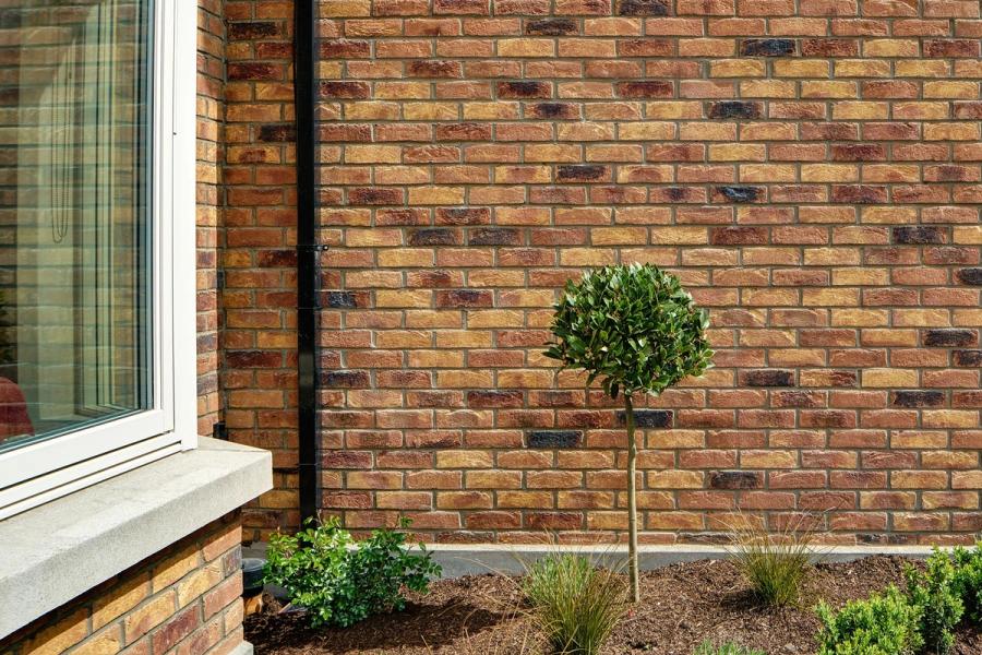 fey yerra primula brick wall