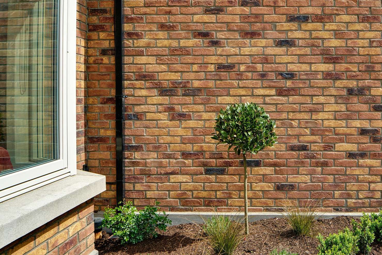 Fey Yerra Leopardstown, Dublin