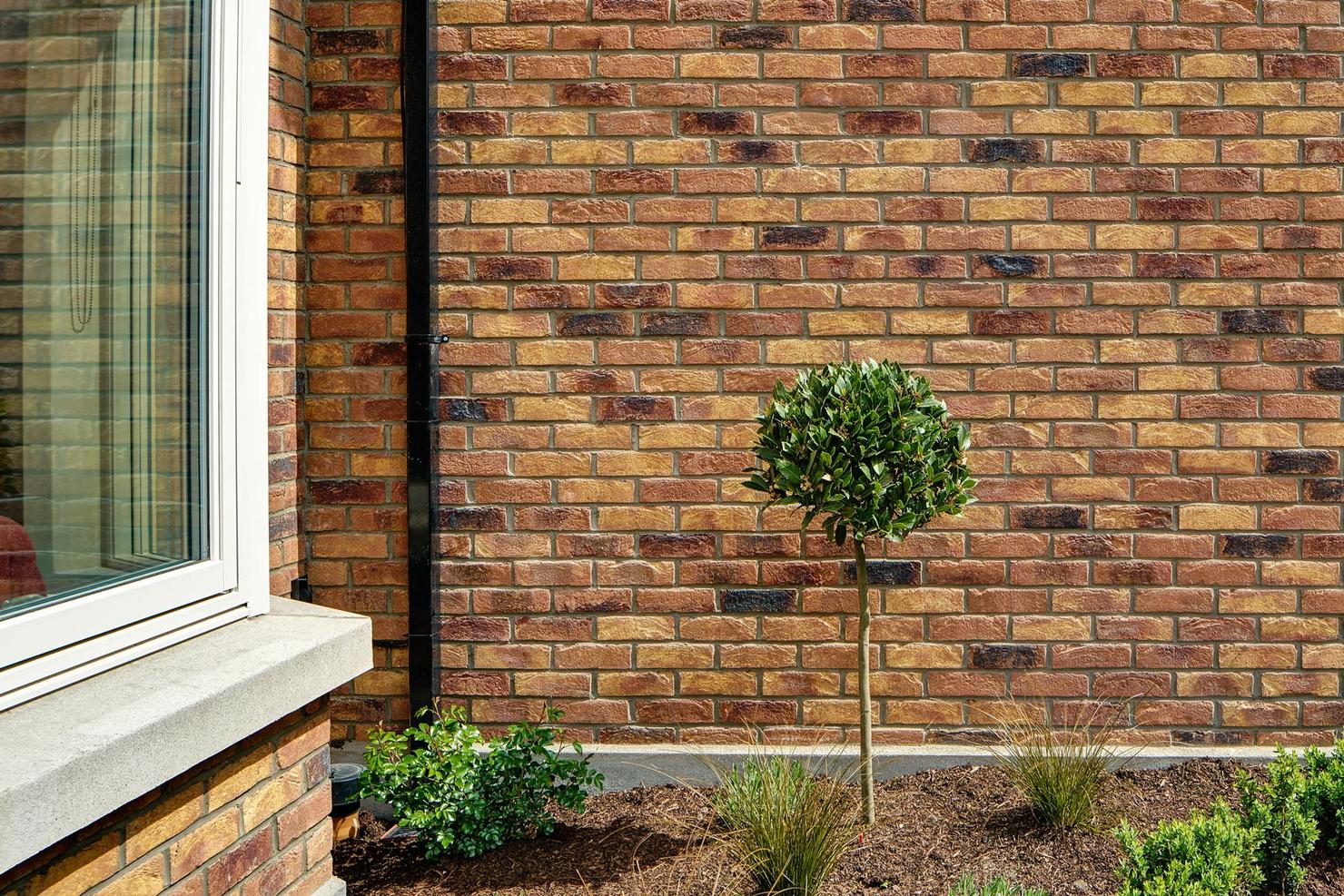 Fey Yerra Leopardstown, Dublin