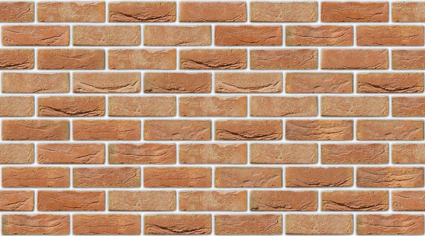 Gala with White mortar