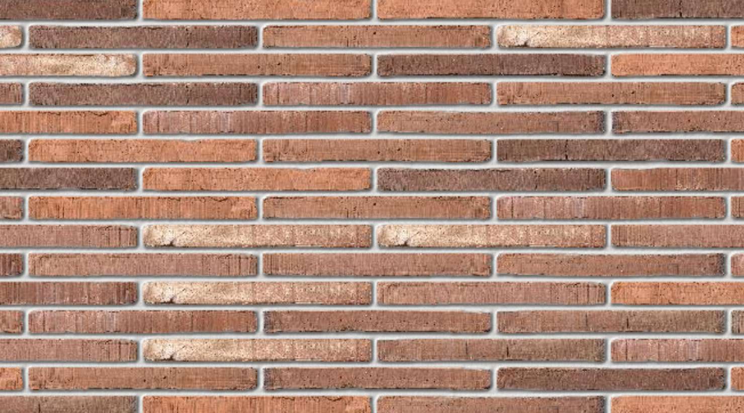 Roman Maestra with White mortar