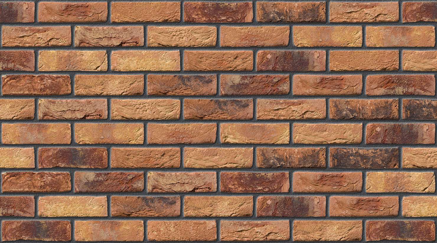 Primula with Dark Grey mortar