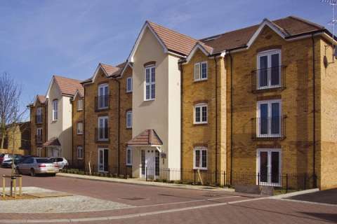 Old English Buff Multi application 1