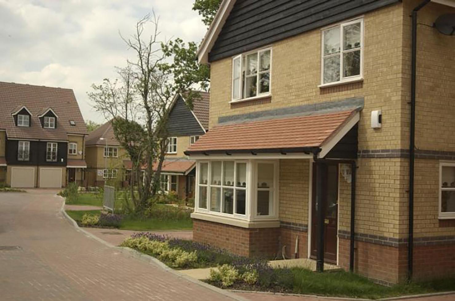 Sandalwood Yellow application 2