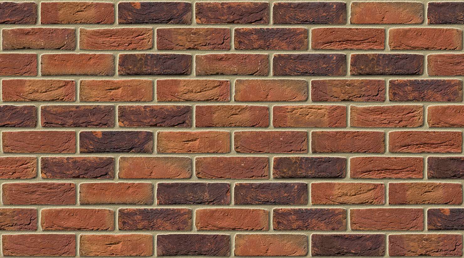 Viola with Buff mortar