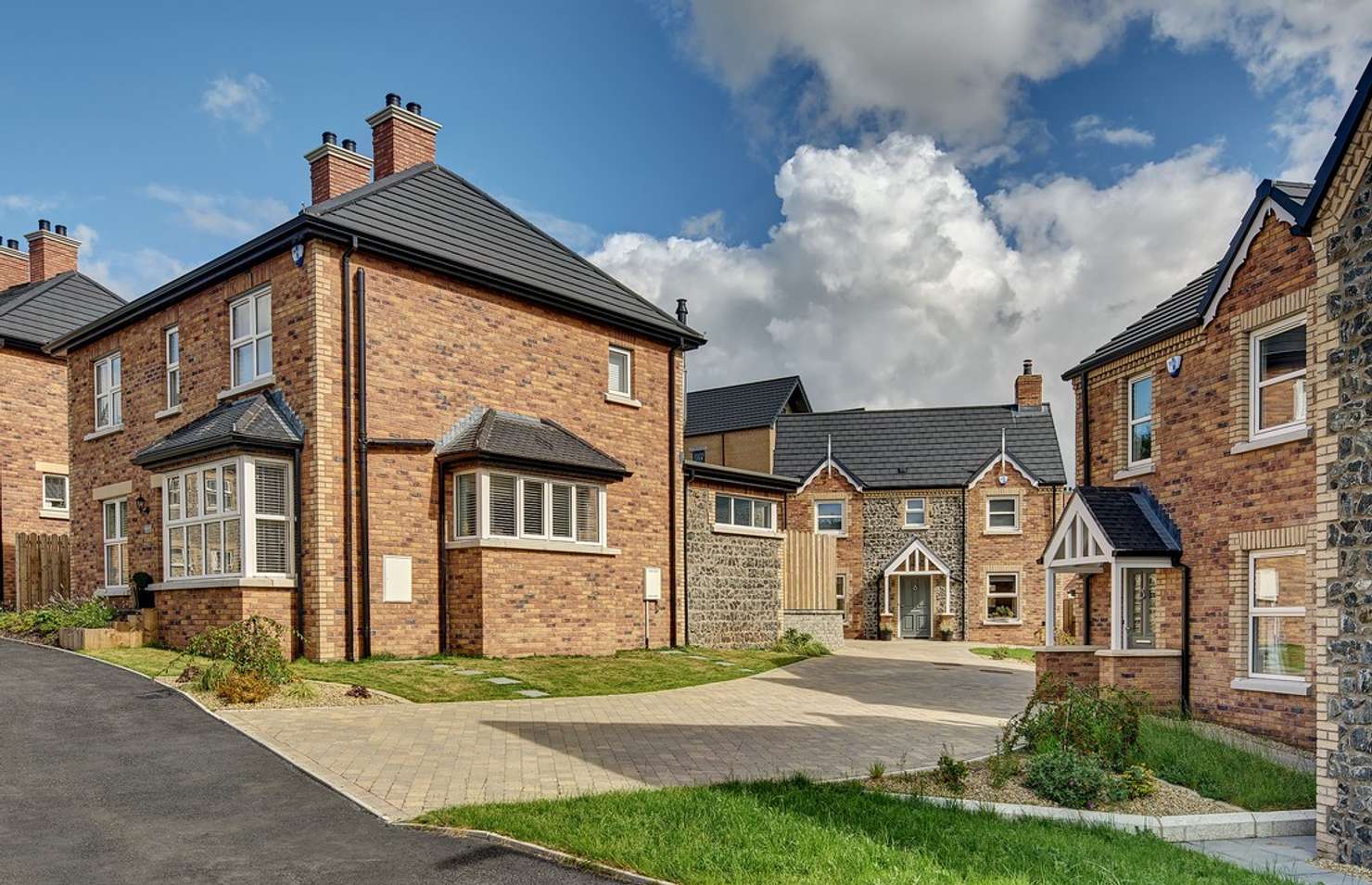 Primula application 5