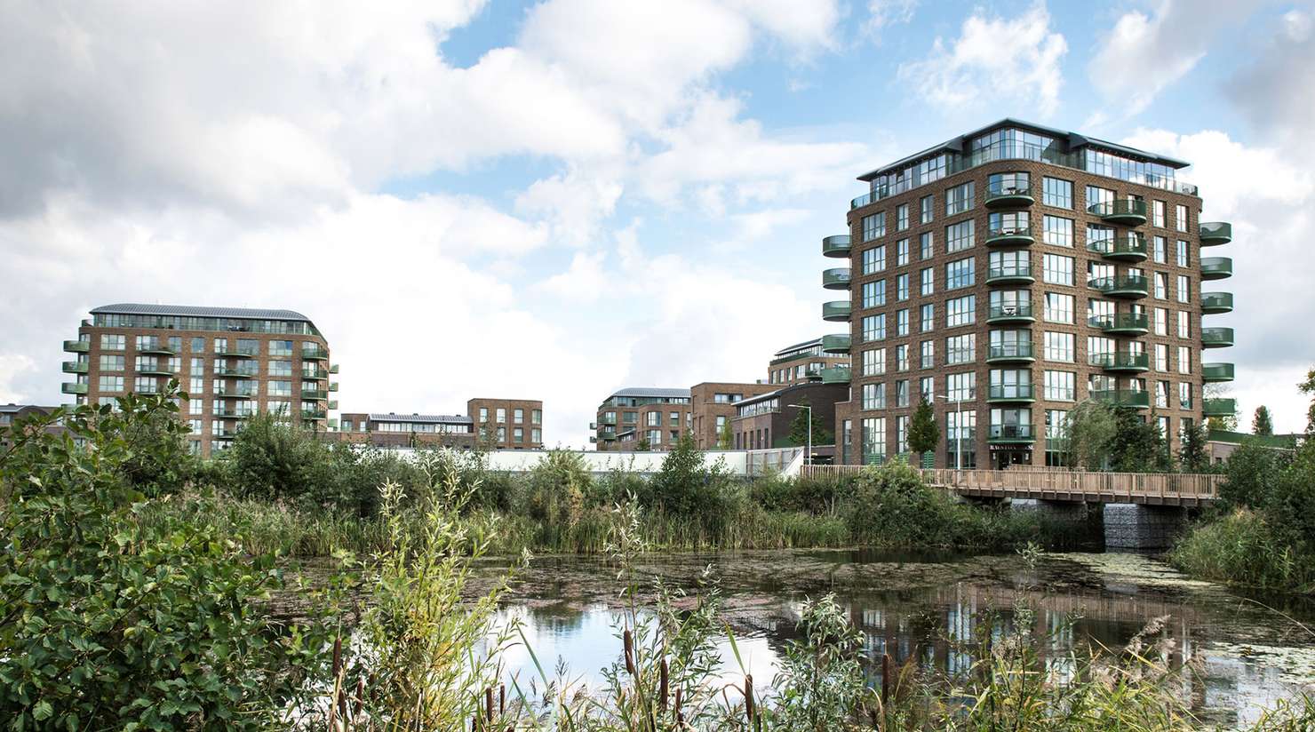 FLB Selected Dark application 1