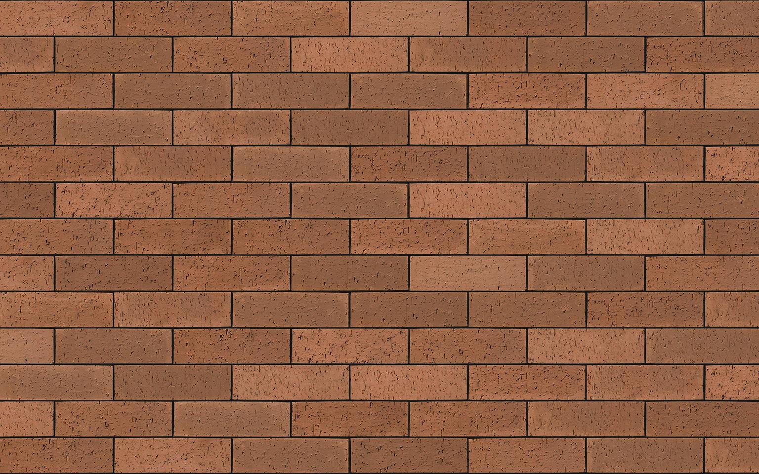 Brown Dragface