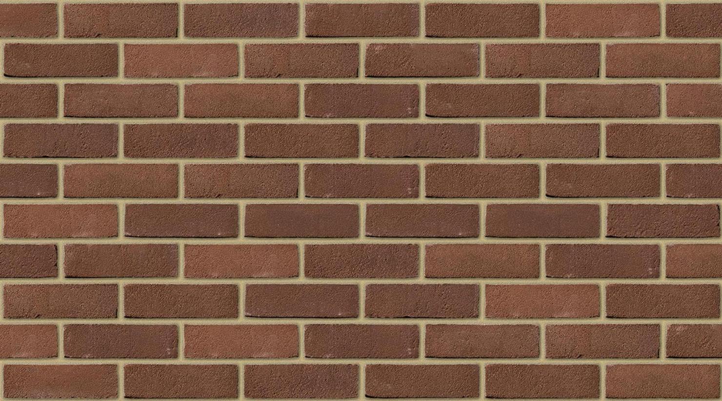 Bruin with Buff mortar