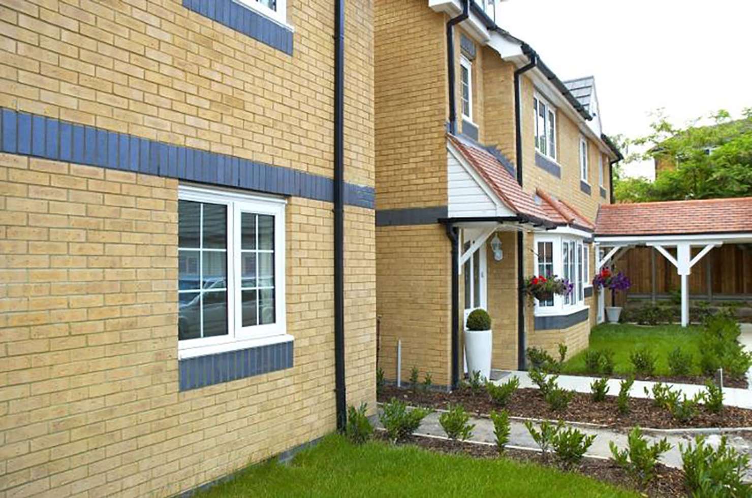 Sandalwood Yellow application 1