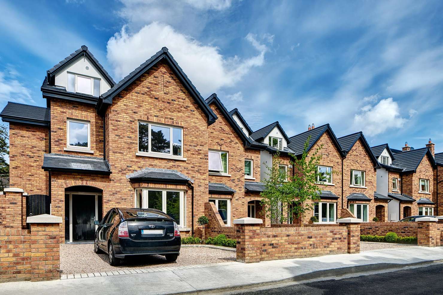 Fey Yerra , Leopardstown, Dublin - primula bricks