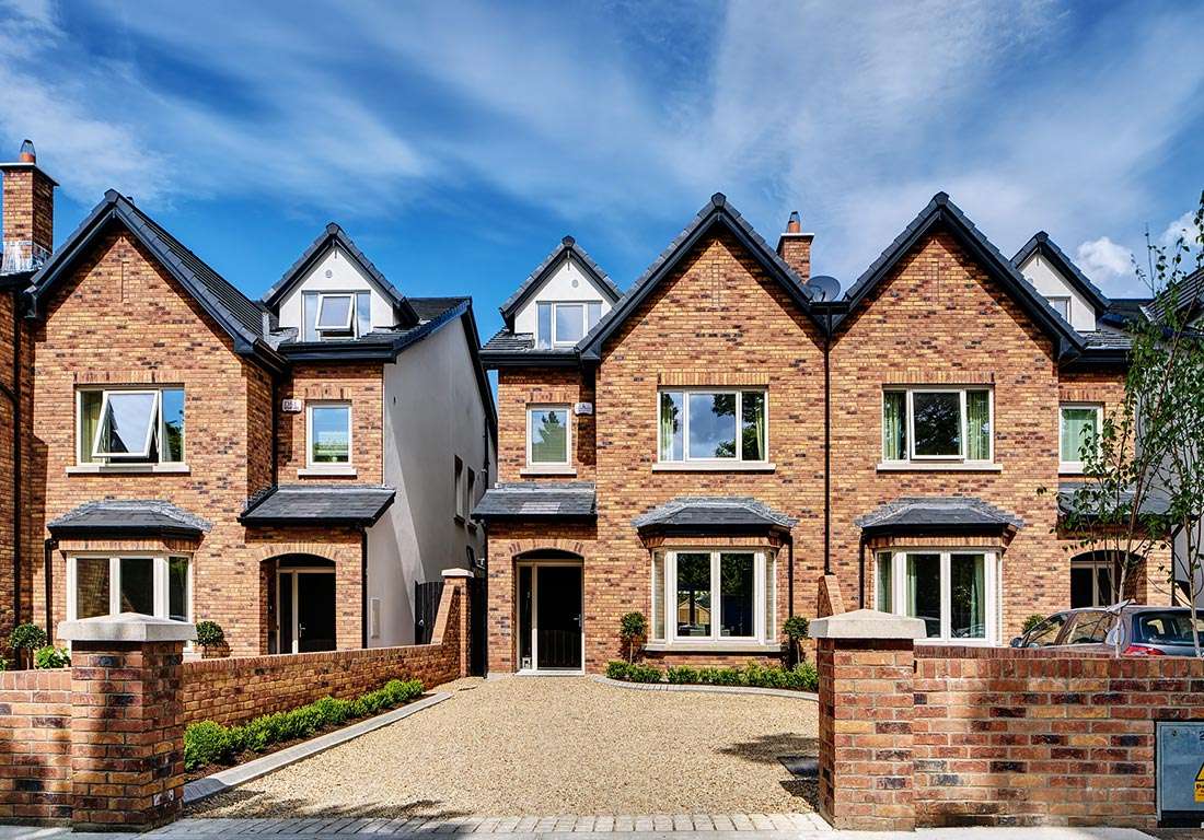Fey yerra Leopardstown, Dublin showing primula brickwork
