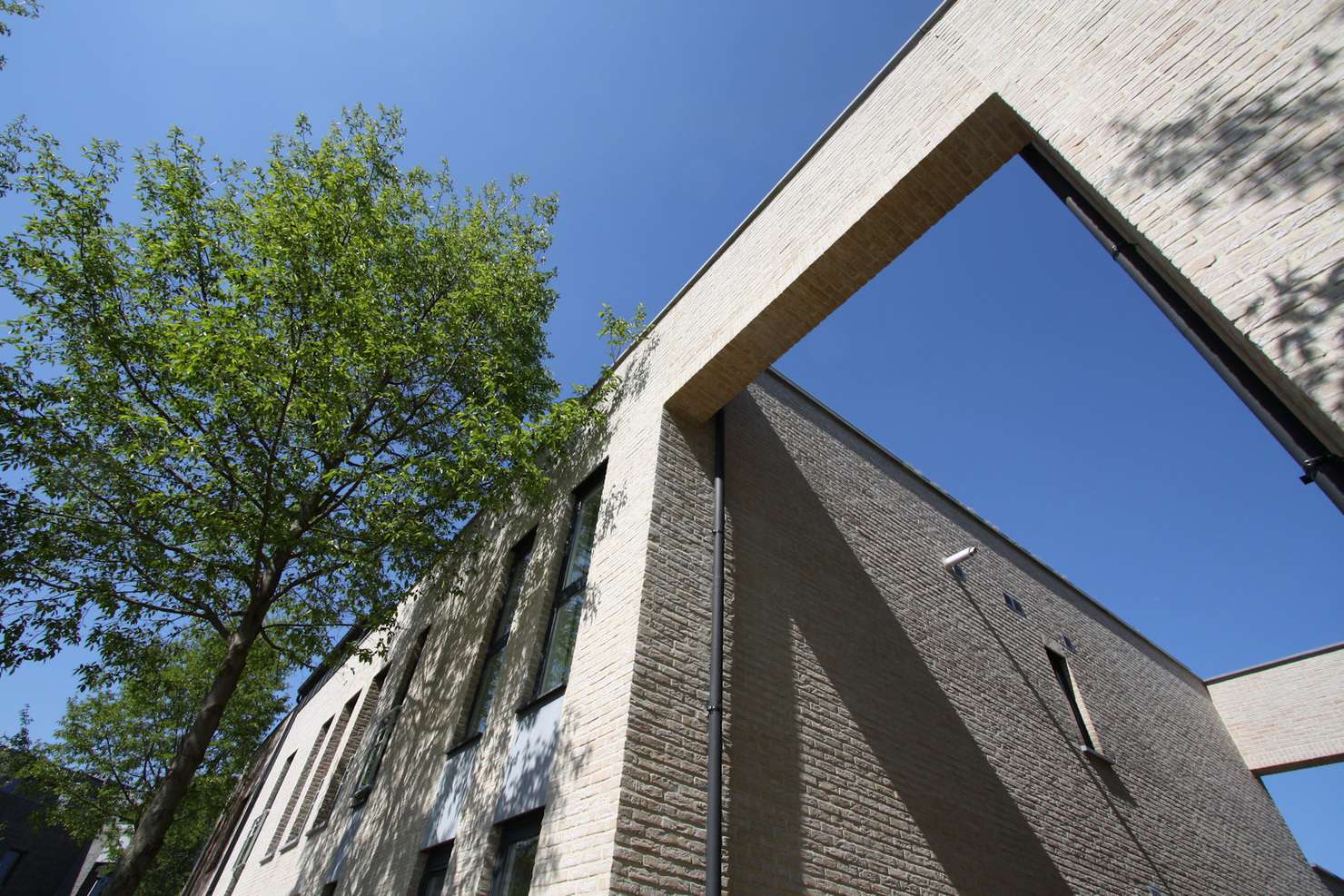 Lindebloem application 2