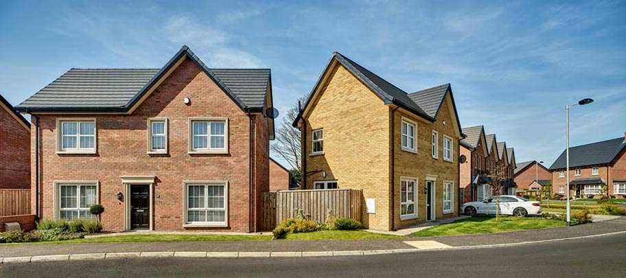 Magheralave Meadows