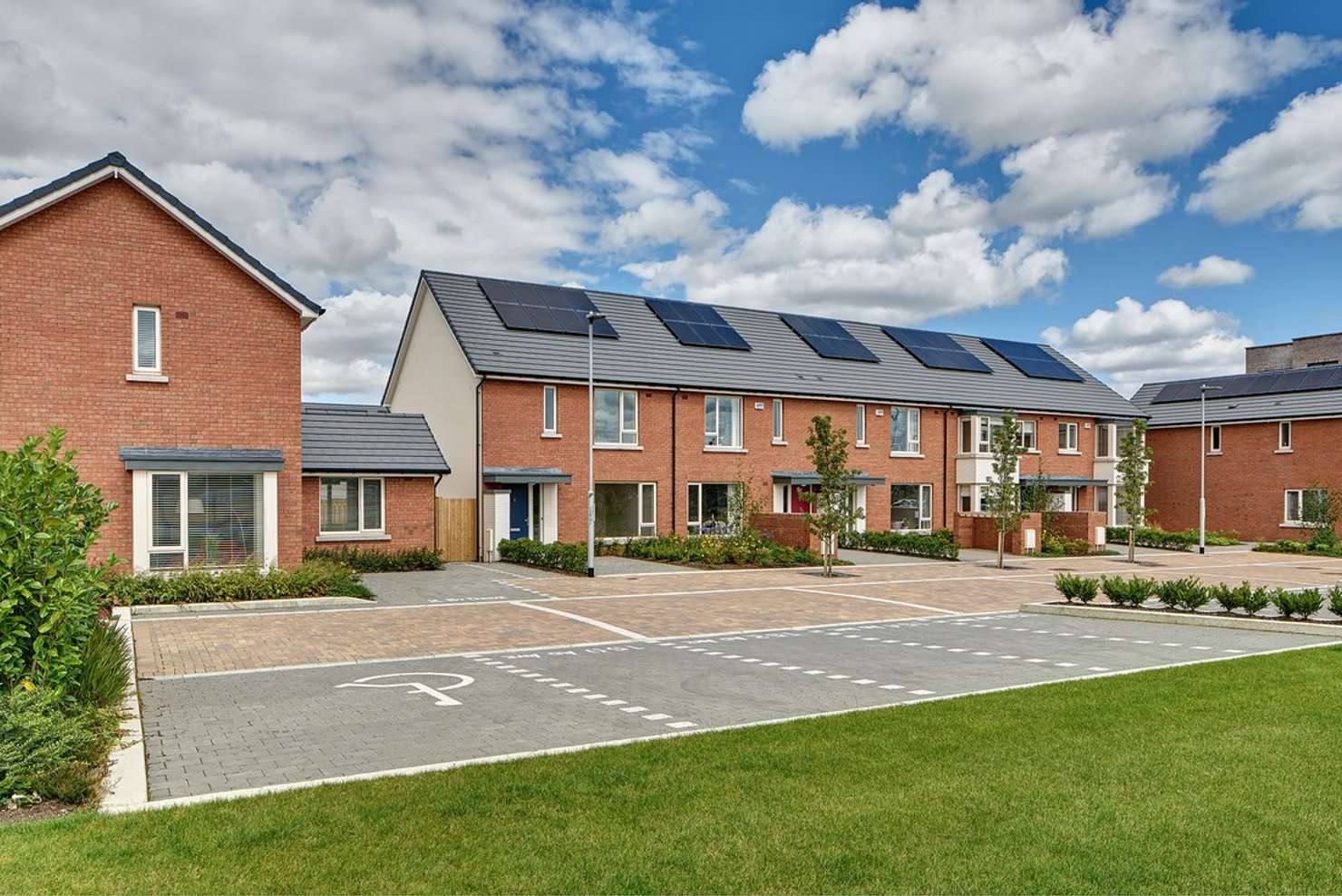 Victorian Red Multi application 7