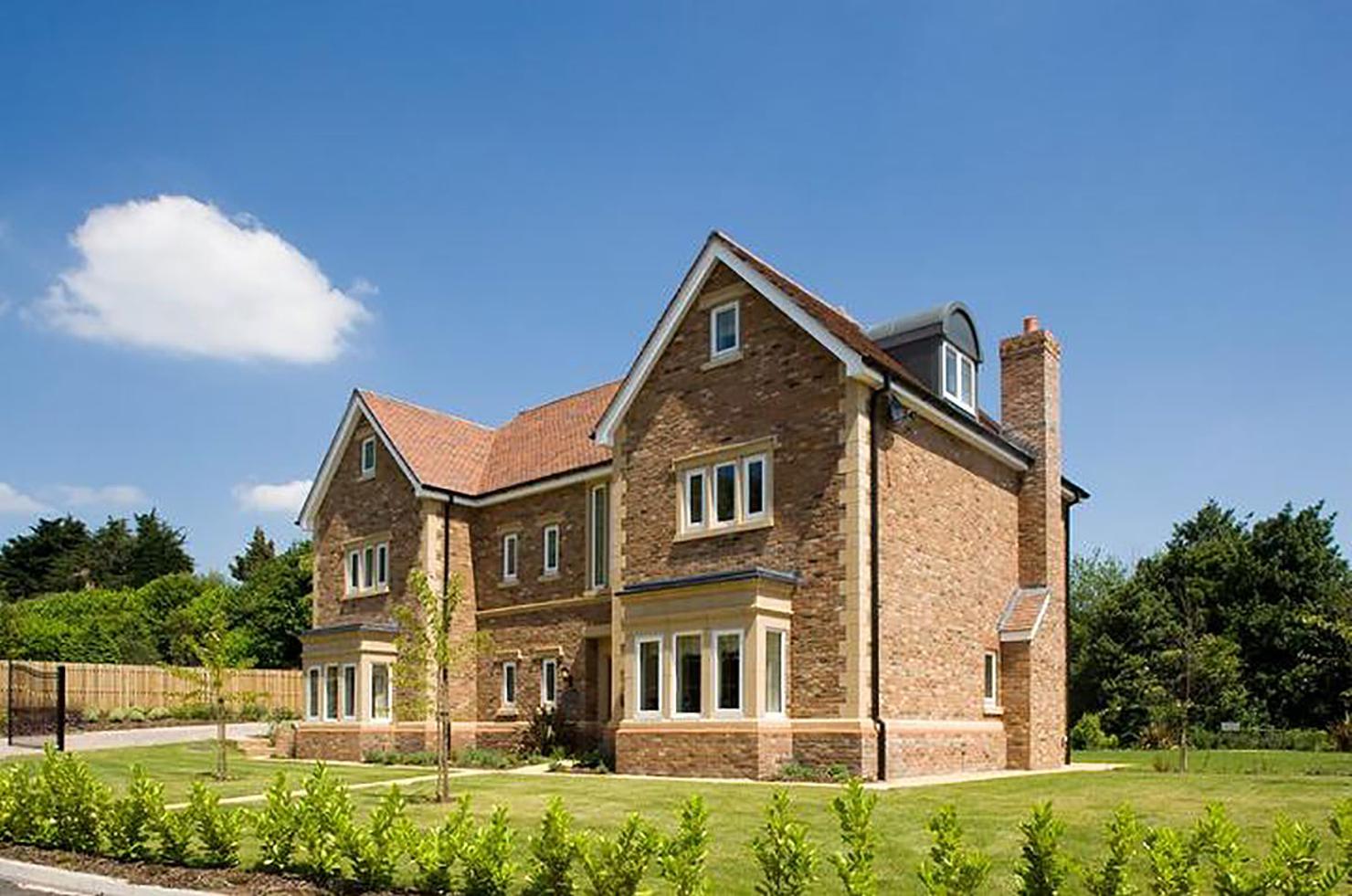 Hathaway Brindled application 2