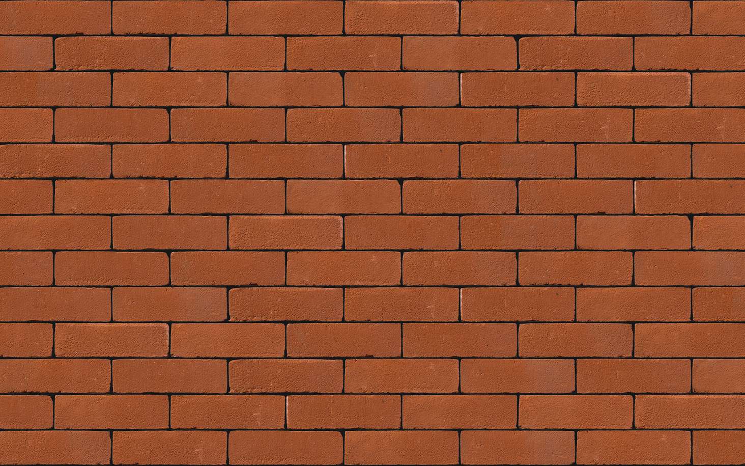 Dorcester Red