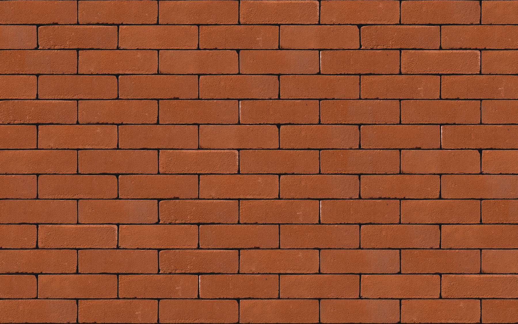 Dorcester Red