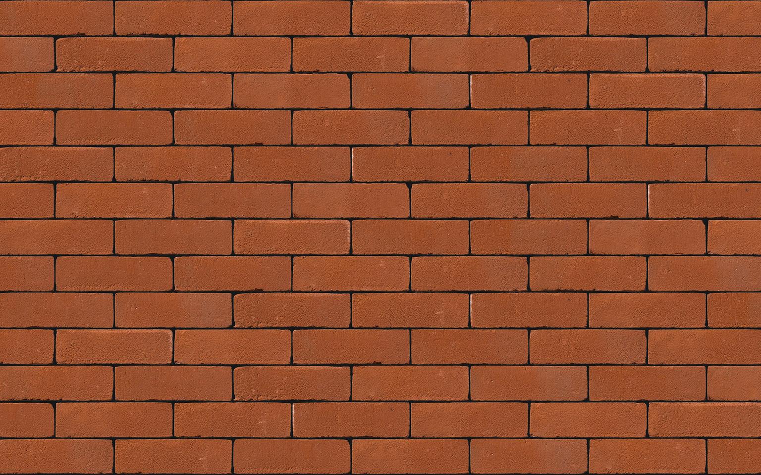 Dorcester Red