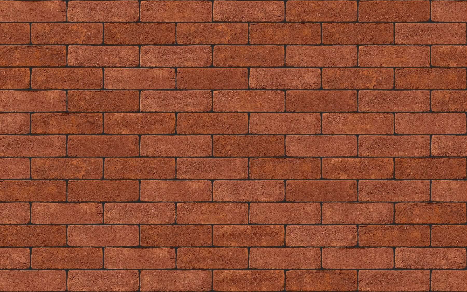 Oakthorpe Red Stock