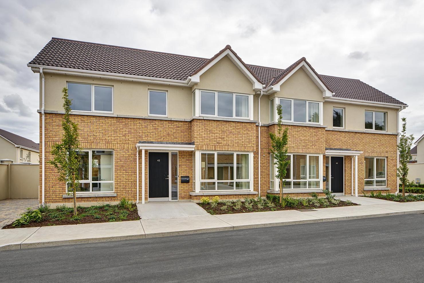 Baltic Amber application 3