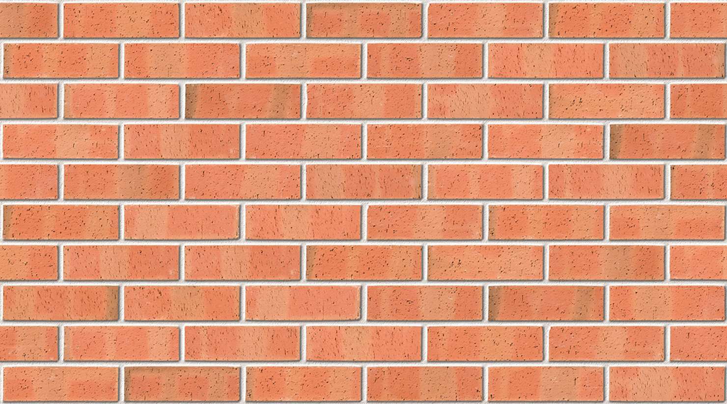 Autumn Dragface with White mortar