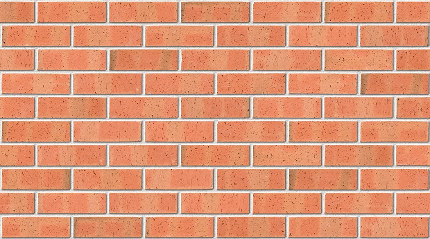 Autumn Dragface with White mortar