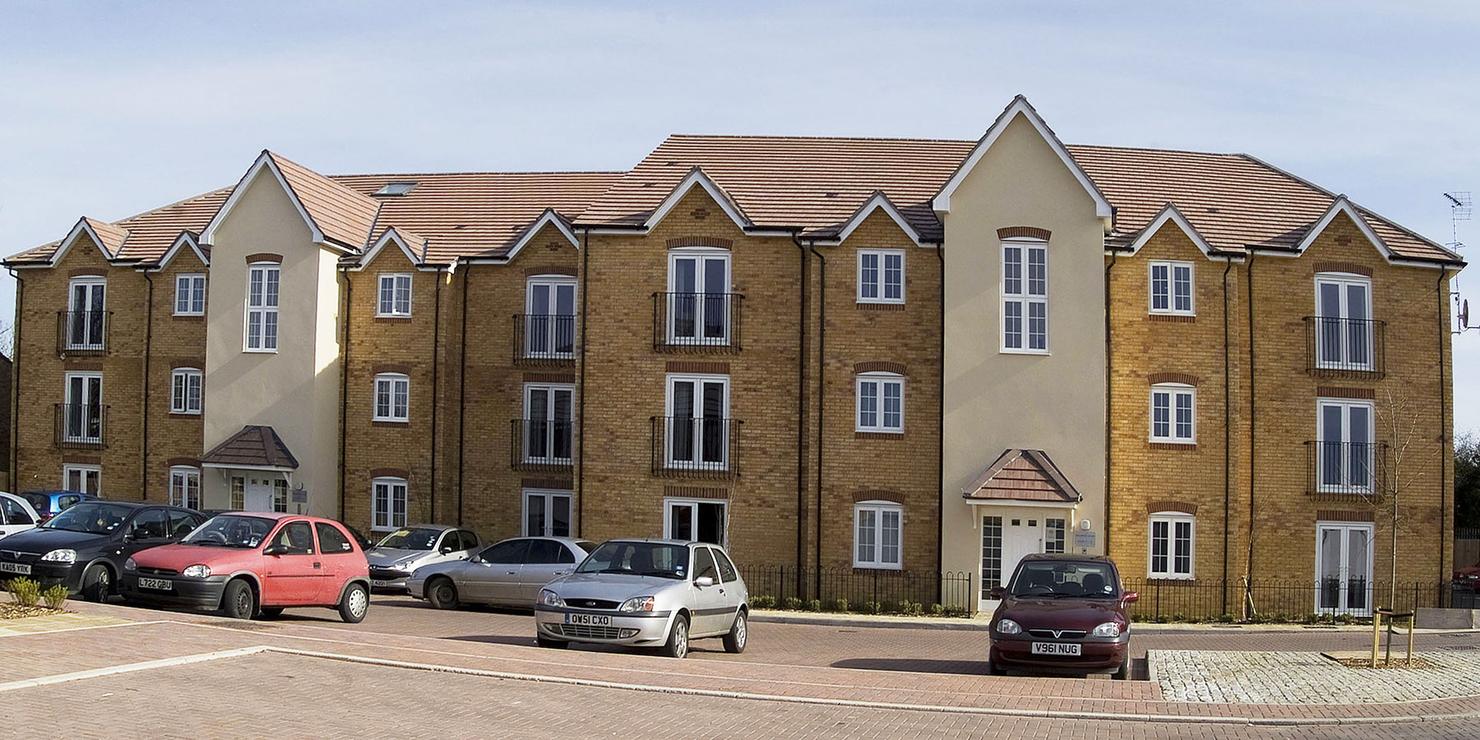 Old English Buff Multi application 2