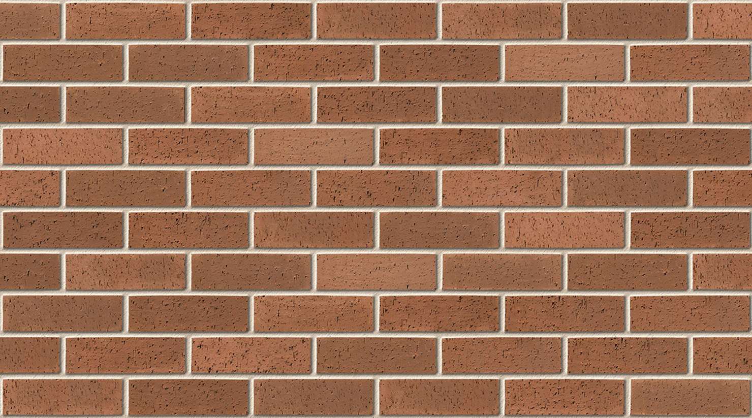 Brown Dragface with Ivory mortar