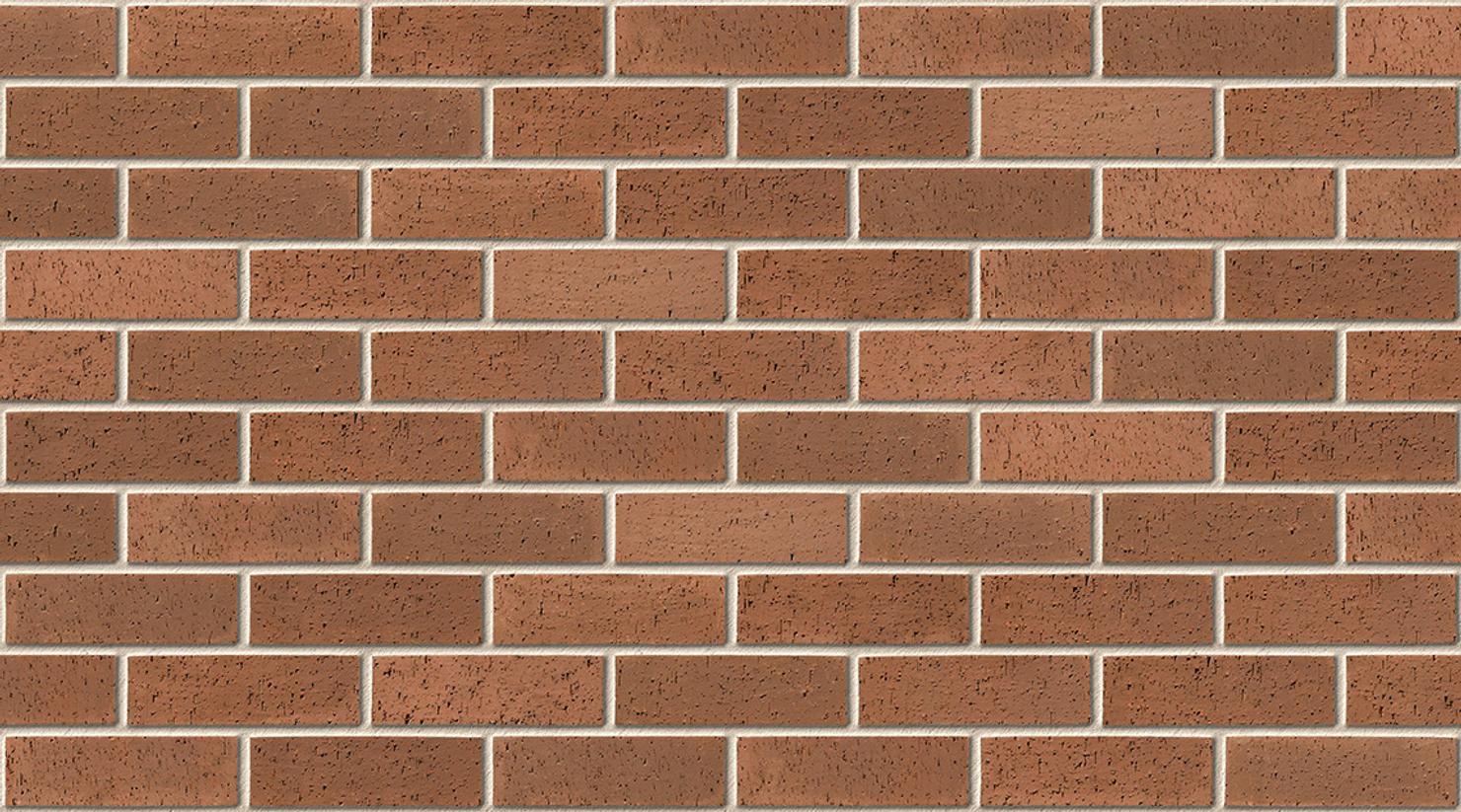 Brown Dragface with Ivory mortar