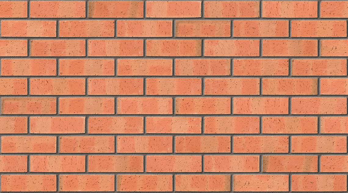 Autumn Dragface with Mid Grey mortar