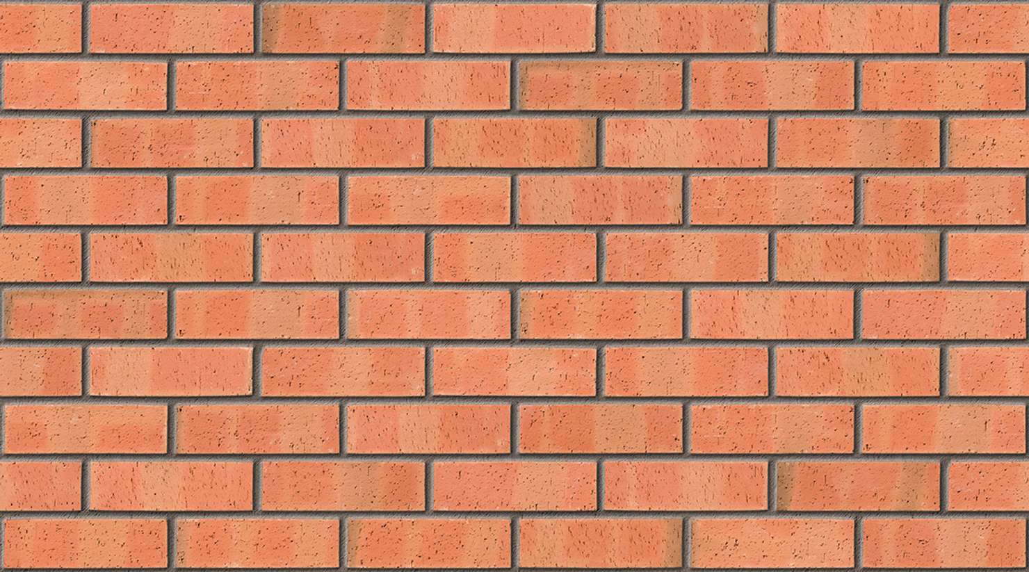 Autumn Dragface with Mid Grey mortar