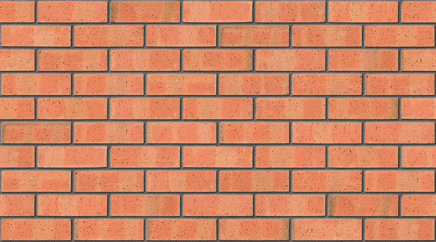 Autumn Dragface with Mid Grey mortar